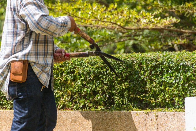 Garden Maintenance Borehamwood, Elstree, Well End, WD6
